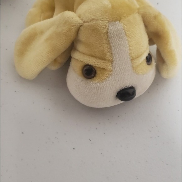 Pound puppies - Picture 4 of 5